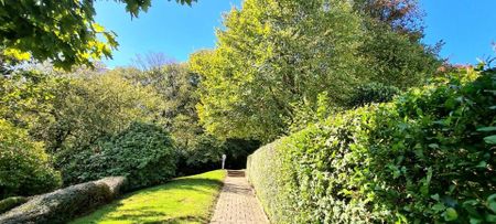 3 Zimmer Penthouse EBK Ausblick , ruhig , zentral - Photo 4