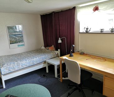 Viktor Rydbergsgatan, Jönköping - Photo 6