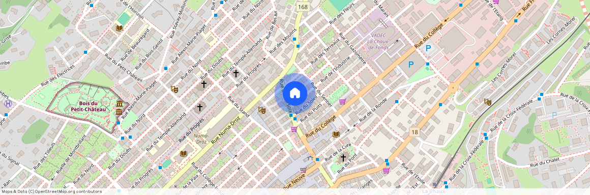 2300, La Chaux-de-Fonds, Rue Des Sagnes, 6