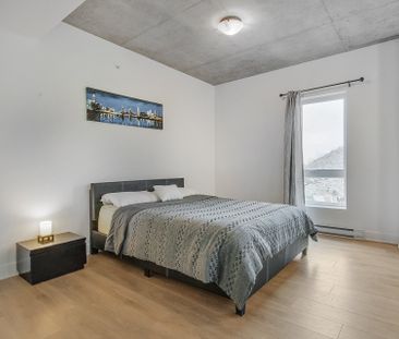 Appartement à Montréal (Mercier/Hochelaga-Maisonneuve) - Photo 3