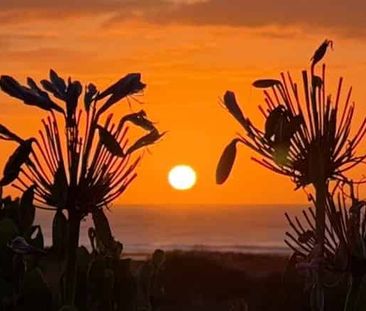 Absolute Beachfront in the picturesque Waitarere Beach - Photo 3