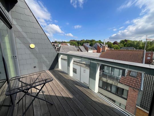 Bijzonder ruim dakappartement met terras. - Foto 1