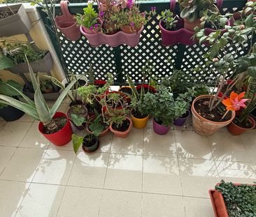 Apartamento T3 junto ao Centro da Parede e do Clube Nacional de Gin... - Photo 2