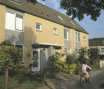 Maartje Den Outerstraat, 37, Rotterdam - Foto 1