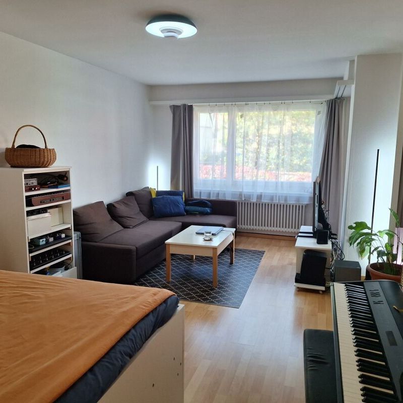 Helle grosszügige Wohnung in Zürich-Altstetten - Foto 1