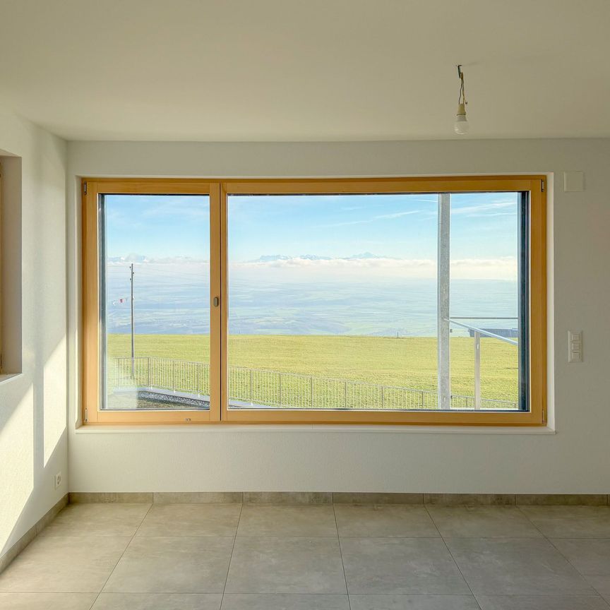 New 2.5-room apartment - 1st floor Beautiful view of the Alps - Foto 1