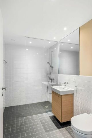 Living in Sihlhof 2 - Attention singles - Photo 5