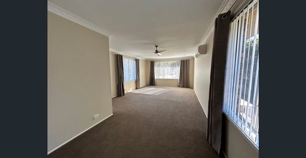 Perfect Position on North Hill - Photo 1