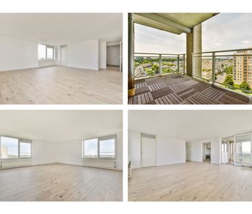 Hermelijnvlinder 49, Vlindertuin, 1113LC, Diemen - Photo 4