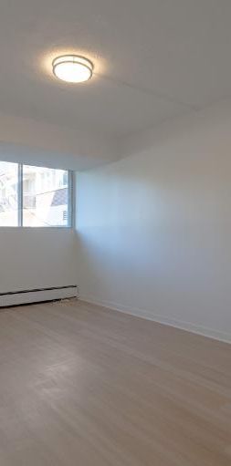 1 CH - 1 SDB - St-Laurent - $1,245 /mo - Photo 1