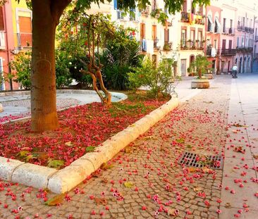 appartamento centro storico - Photo 5