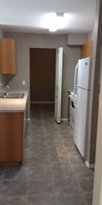 2 bed/1bath - Spacious & Bright - Photo 4