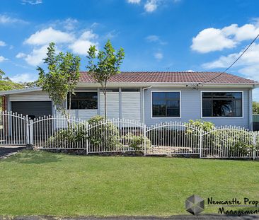 43 Woodstock Street, Mayfield - Photo 3
