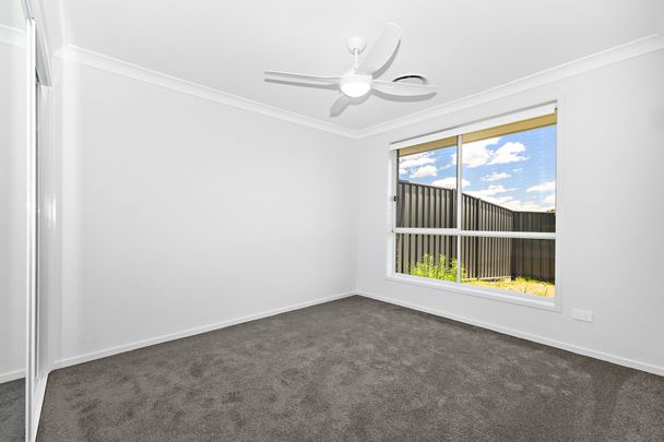 1/2 Daunt Street, Farley NSW 2320 - House For Rent | Domain - Photo 1