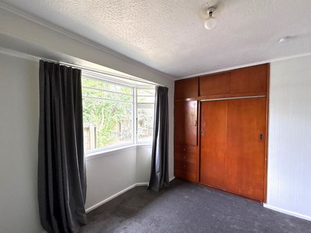 113c Ruskin Street, Addington, NZ 8041 - Photo 2