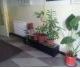 Apartament de inchiriat - Democratiei - (MOMENTAN INCHIRIAT) - Fotografie 6