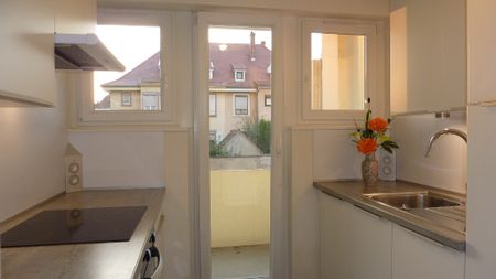COLMAR - APPARTEMENT 2 Pièces - Photo 4