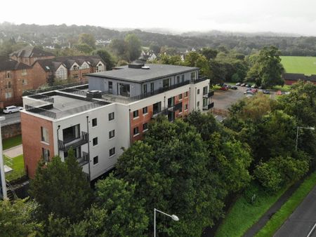 Apartment to rent on - Photo 5