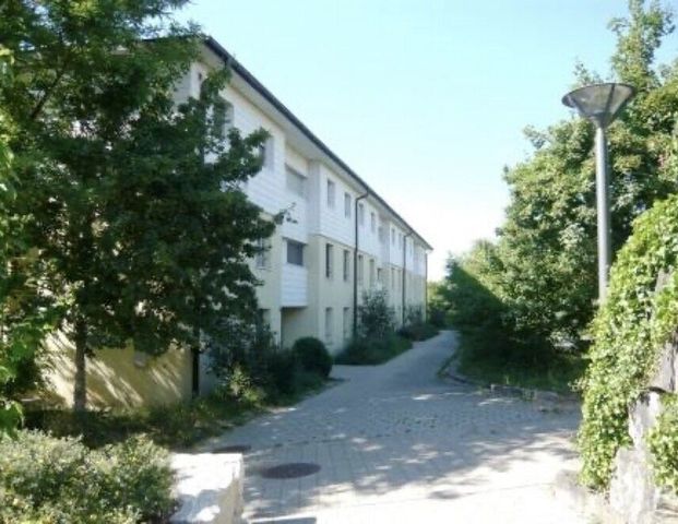 PERLE RARE DANS LA REGION DES 3 LACS - 2.5pcs avec terrasse - SELTENE PERLE - Photo 1