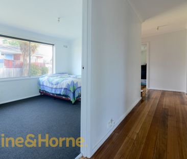 Sunny Three Bedroom Home! - Photo 6