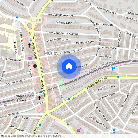 Lisson Grove, Plymouth