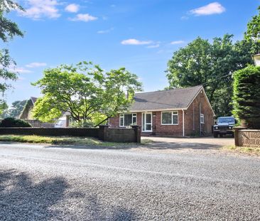 2 Bedroom Bungalow to let - Photo 5
