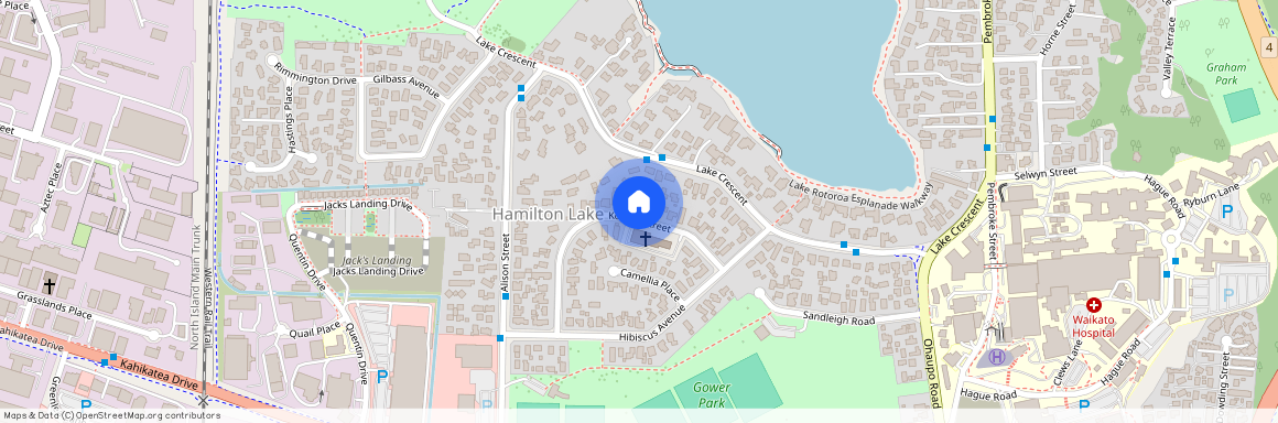 20 Kowhai Street, Hamilton Lake, Hamilton City