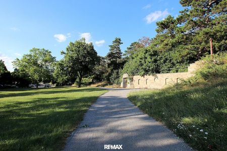 Panorama Aussicht auf einen Park - DG Wohnung in einer tollen Lage! - Photo 4