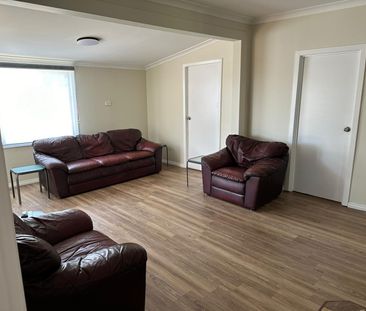 58 Hopkins Street, South Boulder - Photo 6