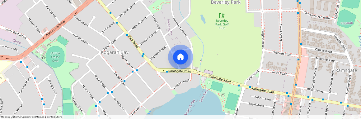 58 Lacey St, NSW 2217, Kogarah Bay