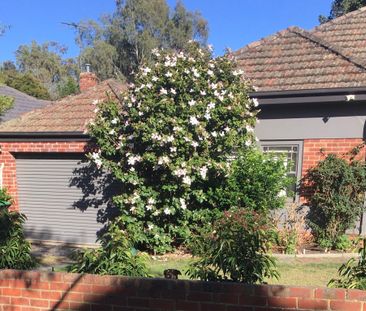 Camberwell - Photo 5