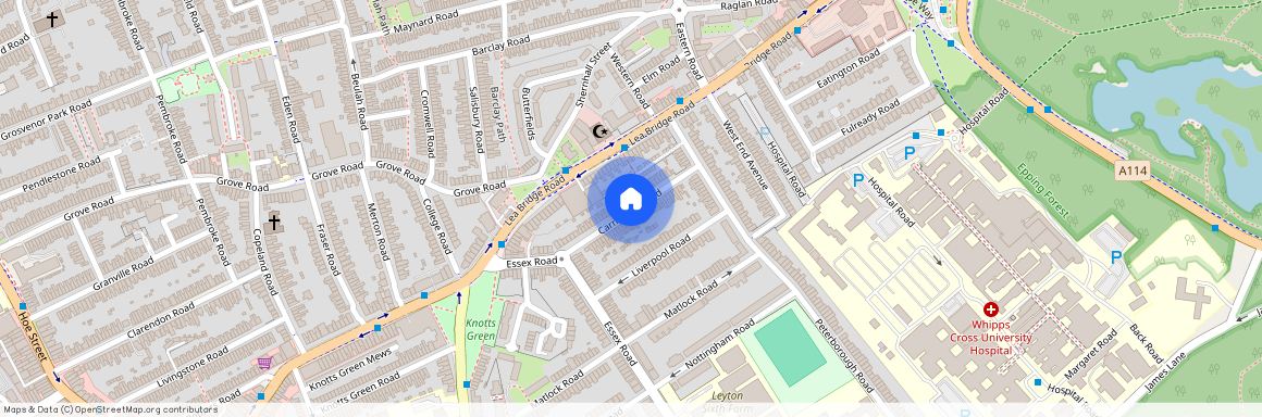 Carnarvon Road, Leyton, E10