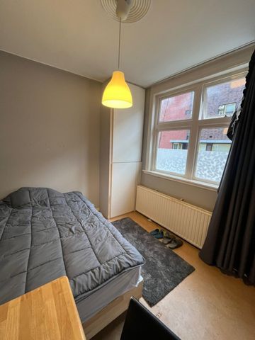 Kamer Korreweg - Photo 2