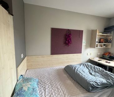 Room in a Shared Flat, Far Gosford Street, CV1 - Photo 5