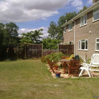 3 bedroom property to rent in Huntingdon - Photo 1