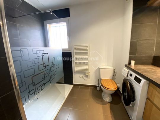 A LOUER MEUBLE / PEGOMAS / APPARTEMENT 2P DE 45M² / GARAGE, - Photo 1