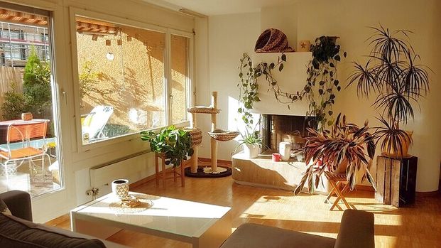 3½ Zimmer-Attikawohnung in Zürich - Kreis 9 Albisrieden, möbliert, auf Zeit - Photo 1