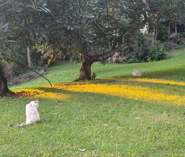 Tamborine Mountain - Photo 5