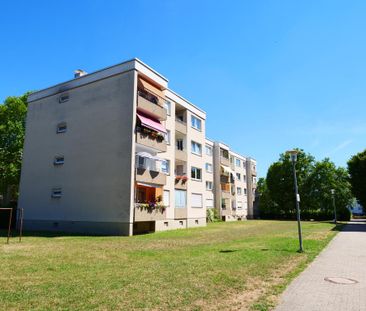 3-Zimmer-Wohnung in Frankenthal (Pfalz) - Photo 1