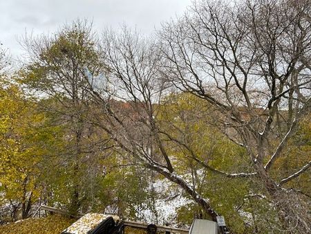 For Lease - 159 Stephen Drive Unit# 204, Toronto, Ontario - Photo 4