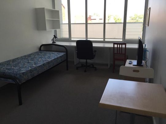 117/313 Waverley Road, Malvern East VIC 3145 - Apartment For Rent | Domain - Photo 1