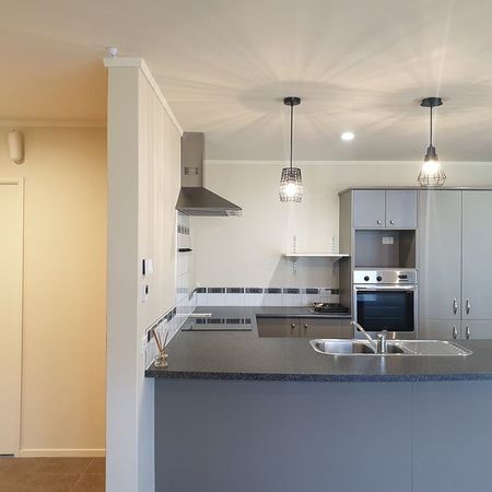 Modern, Spacious Family Home in Riverstone Terrace - Photo 2