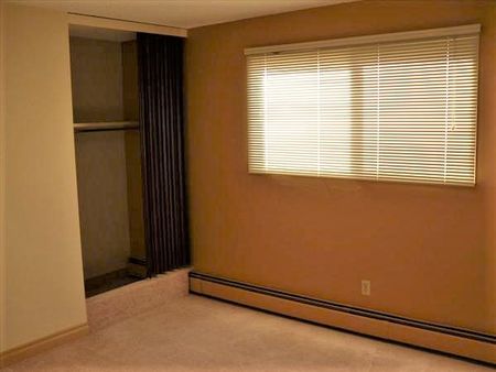 Cozy 1 Bedroom Suite in Highland Park - Photo 4