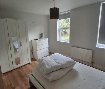 Apt 2, 12 Deramore Park - Photo 5