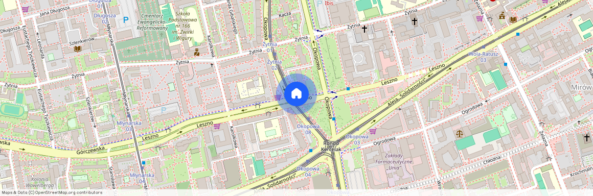 ul. Leszno, Nowolipki, Wola, Warszawa, mazowieckie