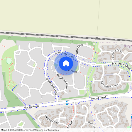 Wagtail Drive, Bury St Edmunds, IP32 7GP