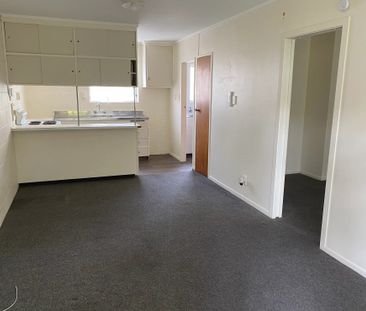 8/17 Opoia Road - Photo 1