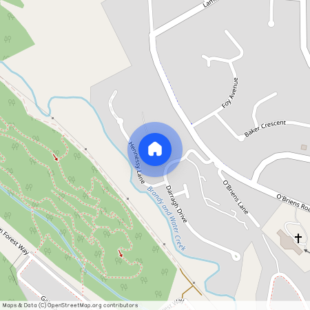 17 Darragh Drive, Figtree