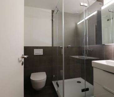 Im beliebten Freuler-Quartier - modernisierte Maisonette-Dachwohnun... - Foto 6