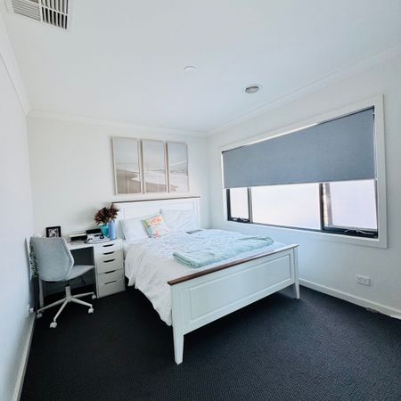 Mount Waverley - Photo 4